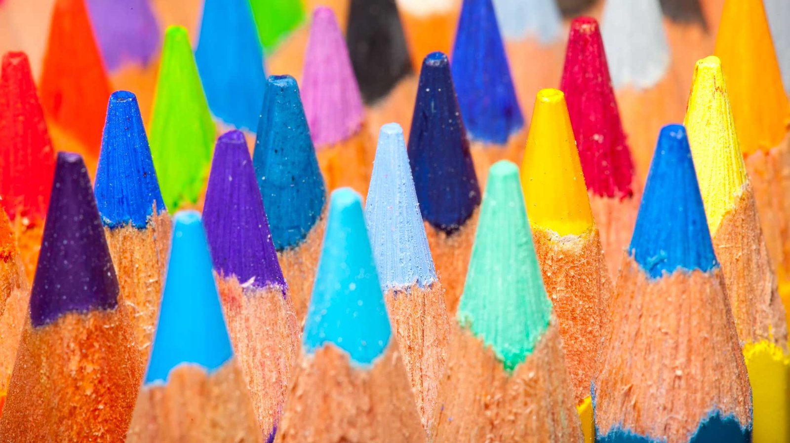 Photo représentant une grande variété de couleurs